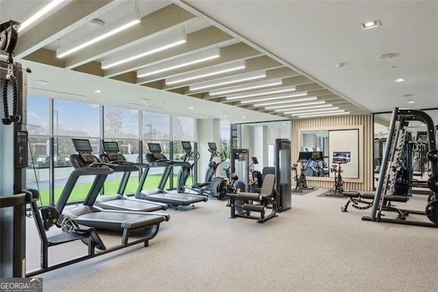 workout area with carpet