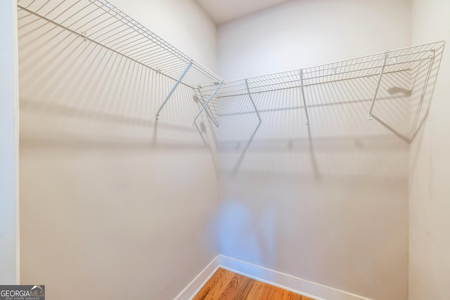 walk in closet with wood-type flooring