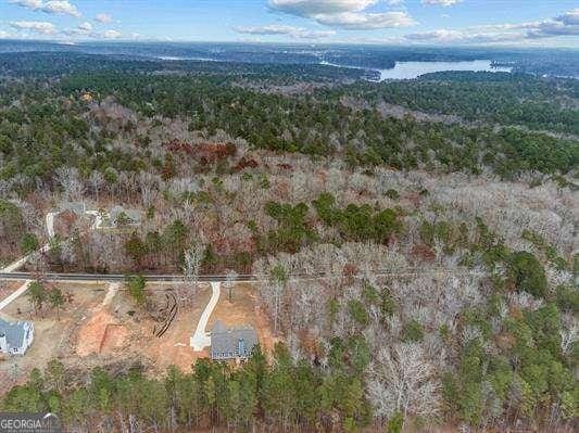 aerial view with a water view and a view of trees