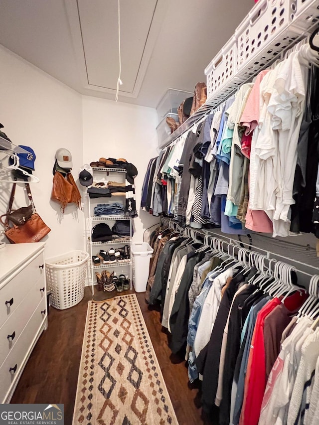 walk in closet featuring dark hardwood / wood-style floors