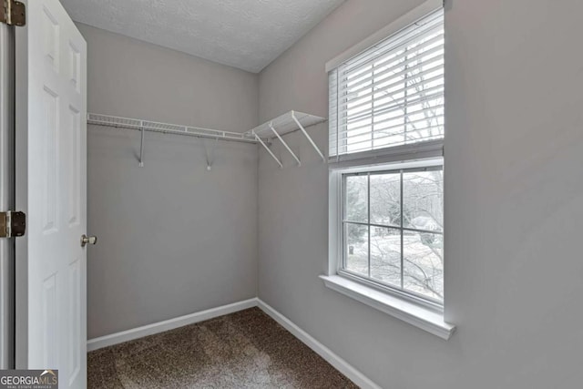 walk in closet with carpet floors