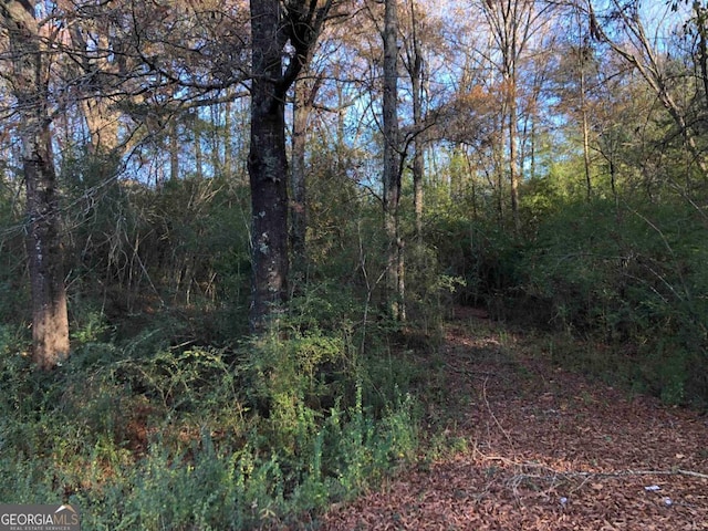 Listing photo 2 for 0 Monticello Rd, Eatonton GA 31024