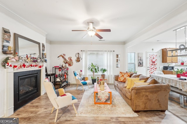 living room with ceiling fan and crown molding