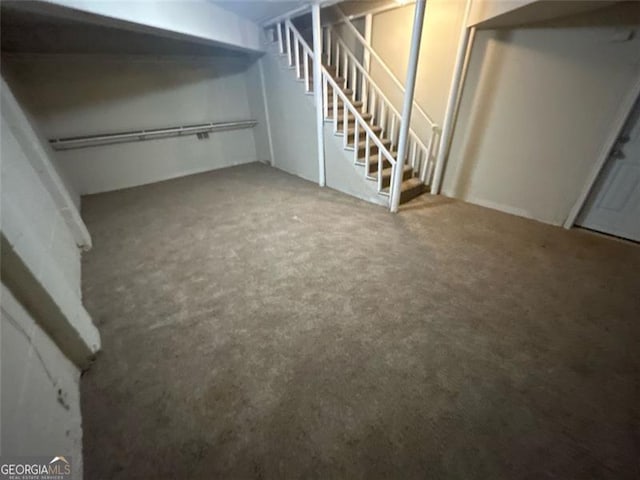 basement featuring carpet floors