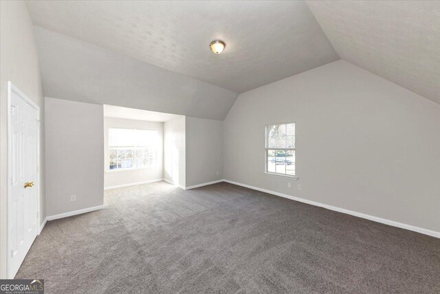 additional living space with carpet flooring, a textured ceiling, a wealth of natural light, and lofted ceiling