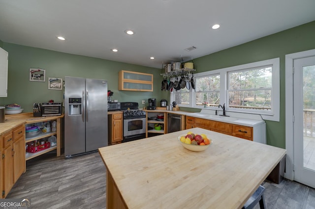 kitchen with appliances with stainless steel finishes, dark wood-type flooring, and sink