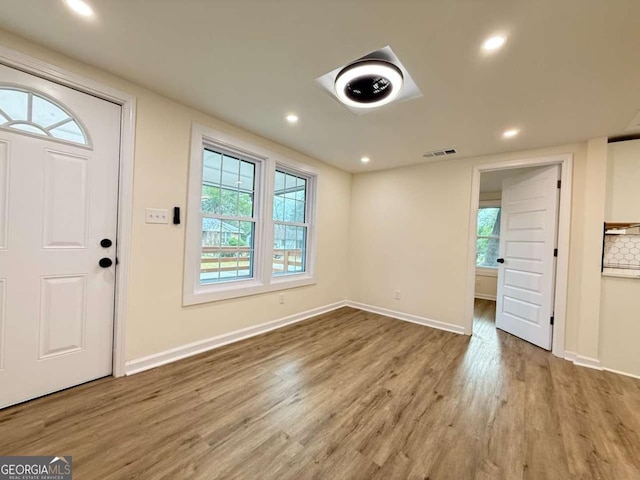 foyer featuring wood-type flooring and a healthy amount of sunlight