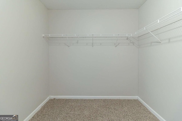 spacious closet featuring carpet floors