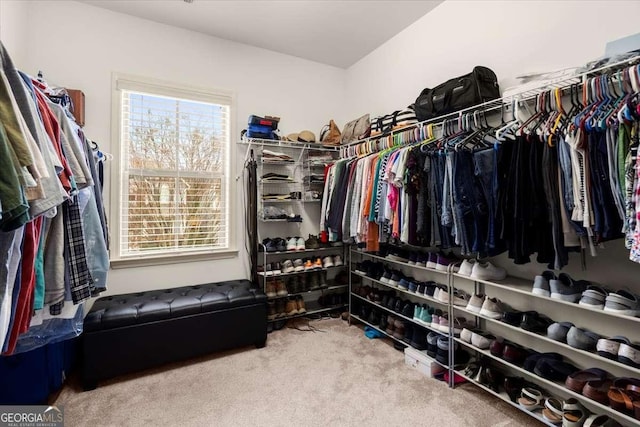 walk in closet featuring carpet floors