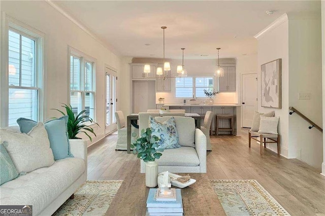 living room featuring light wood-type flooring, an inviting chandelier, and ornamental molding