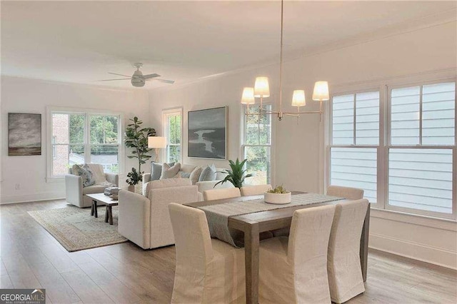 dining area featuring light hardwood / wood-style floors and ceiling fan with notable chandelier