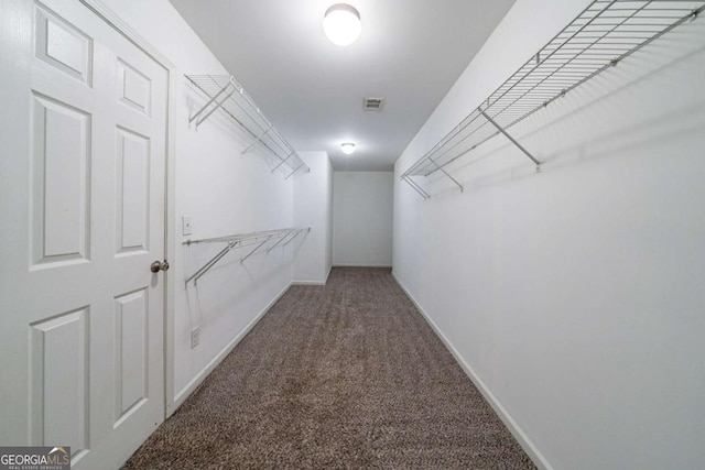 spacious closet with carpet flooring