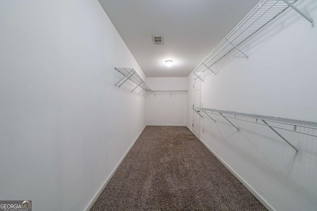 walk in closet featuring carpet