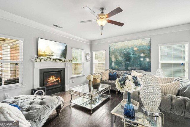 living room with a wealth of natural light, ceiling fan, dark hardwood / wood-style floors, and ornamental molding