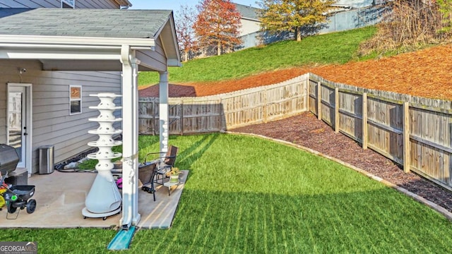 view of yard featuring a patio area and a fenced backyard