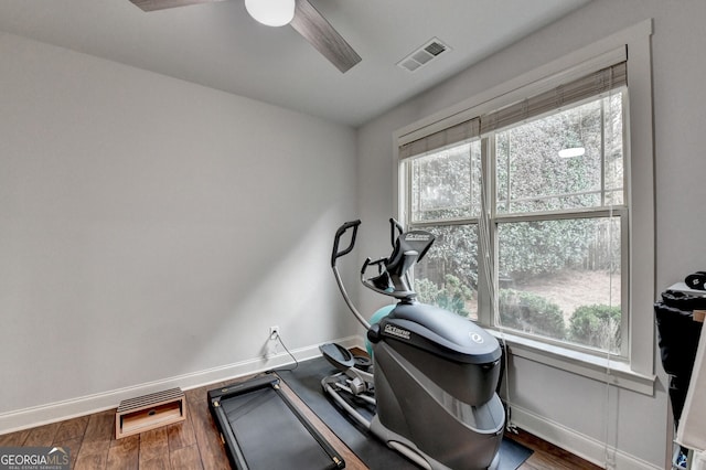 exercise area featuring dark hardwood / wood-style floors and ceiling fan