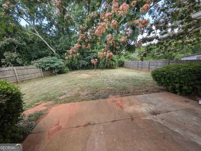 view of yard featuring a patio area