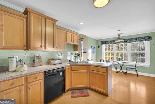 kitchen featuring sink, black dishwasher, pendant lighting, light hardwood / wood-style floors, and ornamental molding