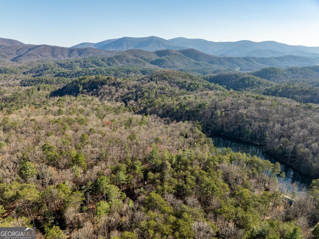 view of mountain feature