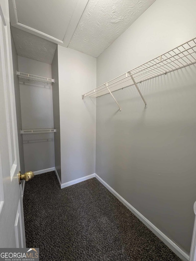 walk in closet with carpet flooring