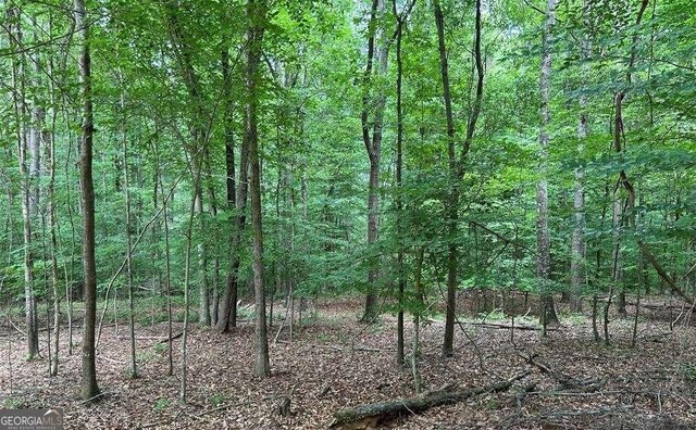 LOT4 Tall Oaks Rd, Watkinsville GA, 30677 land for sale