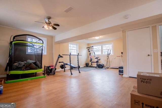 exercise area featuring light hardwood / wood-style flooring and ceiling fan