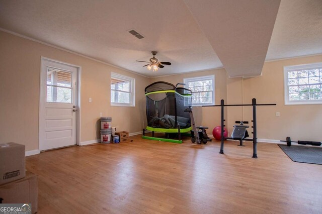 workout area featuring ceiling fan, plenty of natural light, ornamental molding, and light hardwood / wood-style flooring