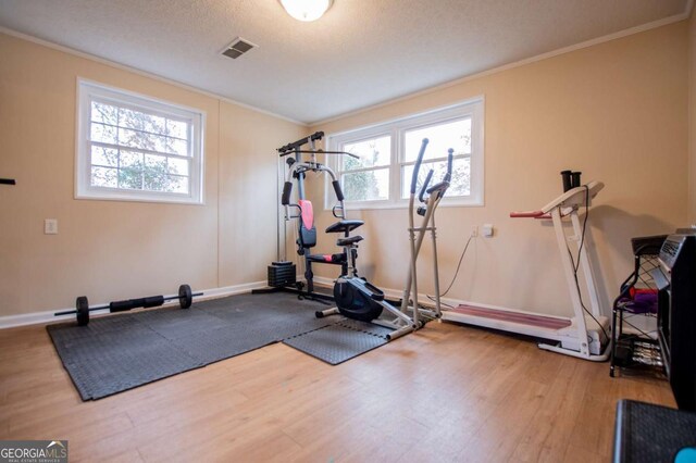 workout room featuring crown molding, a textured ceiling, and hardwood / wood-style flooring