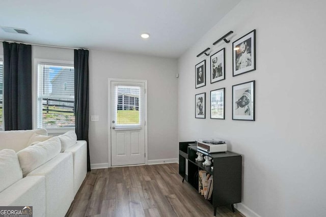 entryway with a healthy amount of sunlight and wood-type flooring