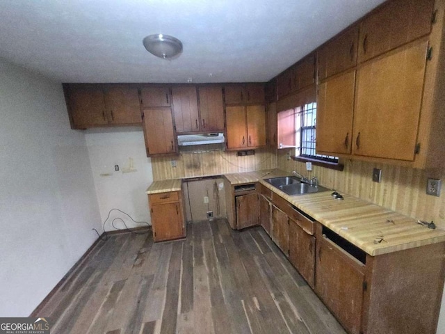 kitchen featuring sink and dark wood-type flooring