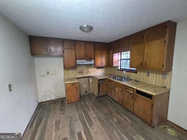 kitchen with dark hardwood / wood-style flooring and sink