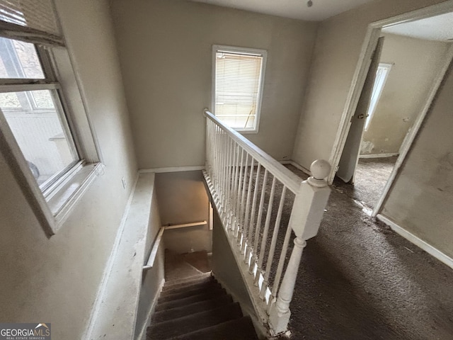 stairs featuring carpet floors