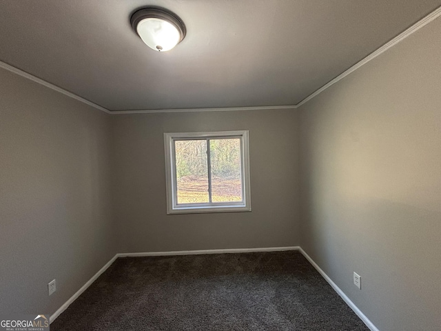 unfurnished room with ornamental molding and carpet floors