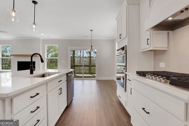 kitchen with extractor fan, plenty of natural light, a sink, appliances with stainless steel finishes, and backsplash