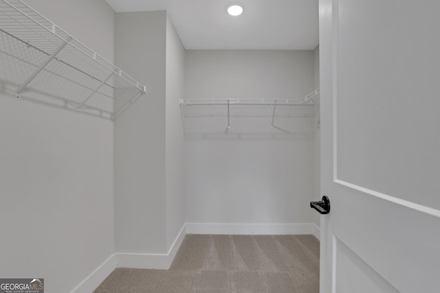 walk in closet with carpet floors