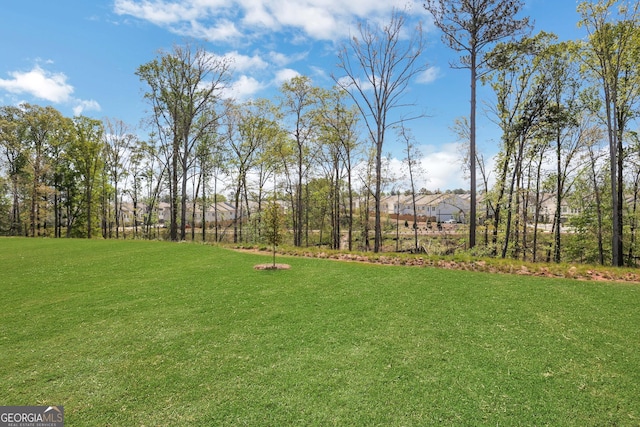 view of yard
