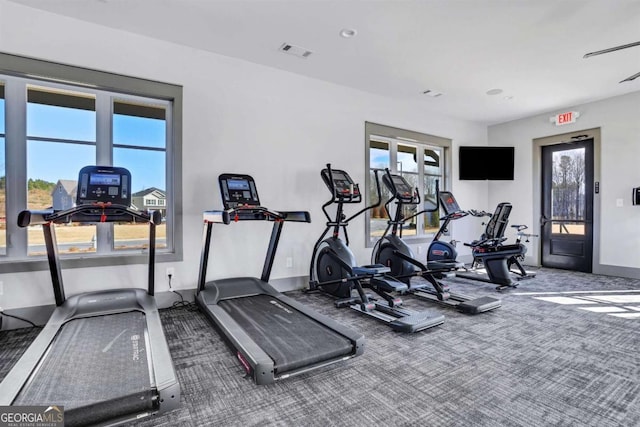 workout area featuring carpet and plenty of natural light