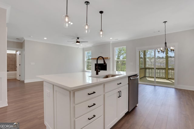 kitchen featuring a sink, stainless steel dishwasher, ceiling fan with notable chandelier, and wood finished floors