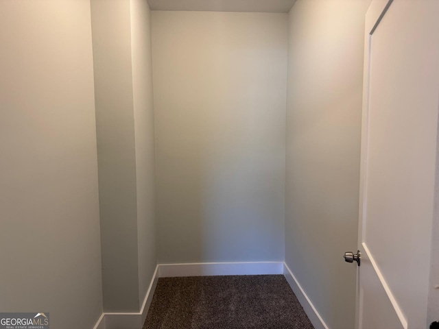 spacious closet with carpet