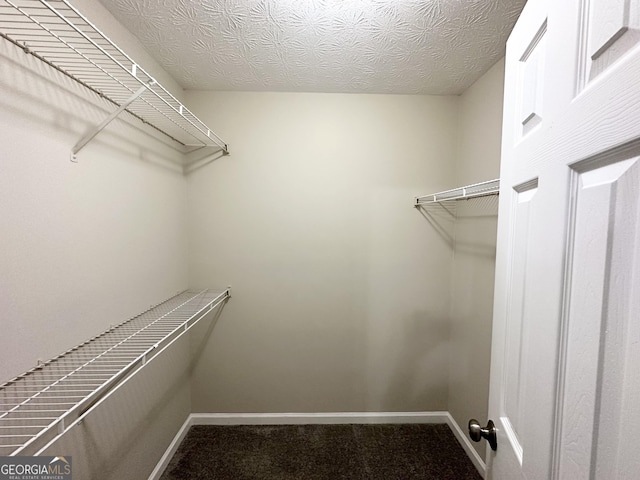 walk in closet with carpet