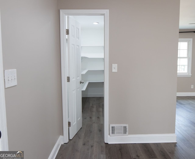 hall featuring dark wood-type flooring