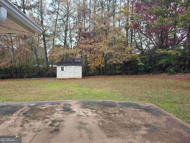 view of yard with a patio and a storage shed