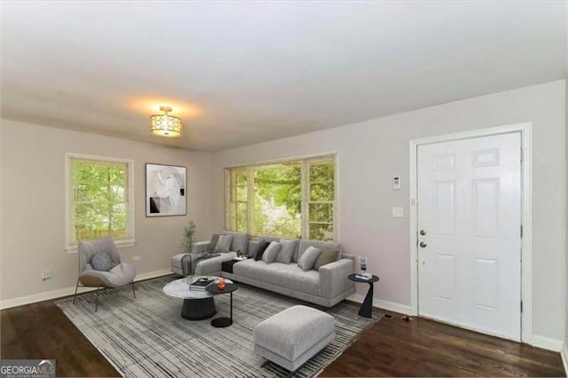 living room with dark hardwood / wood-style flooring