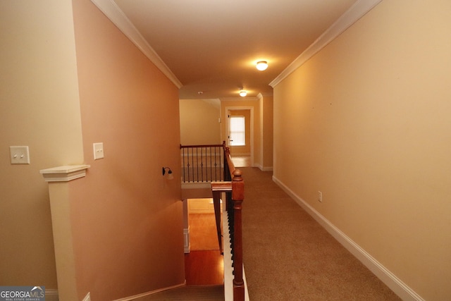 corridor featuring carpet and crown molding