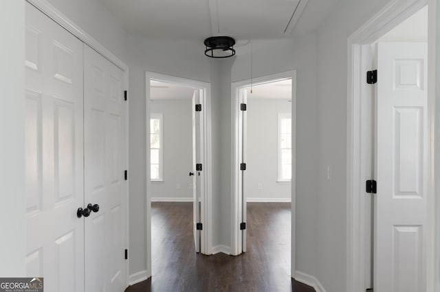 hall featuring dark wood-type flooring