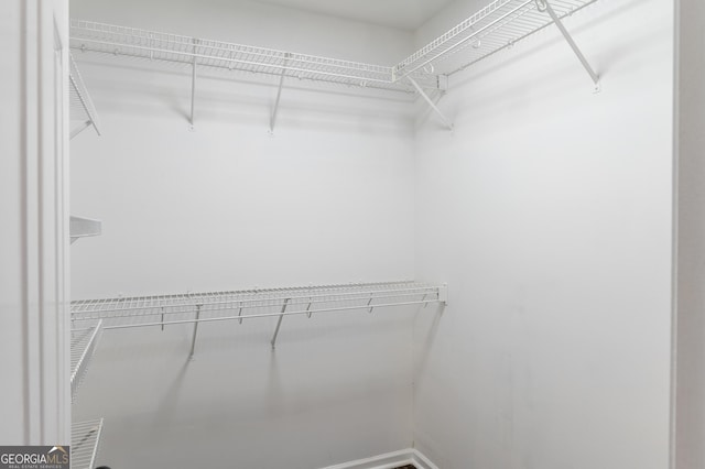 view of spacious closet