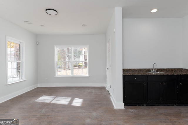 interior space featuring wood-type flooring and sink