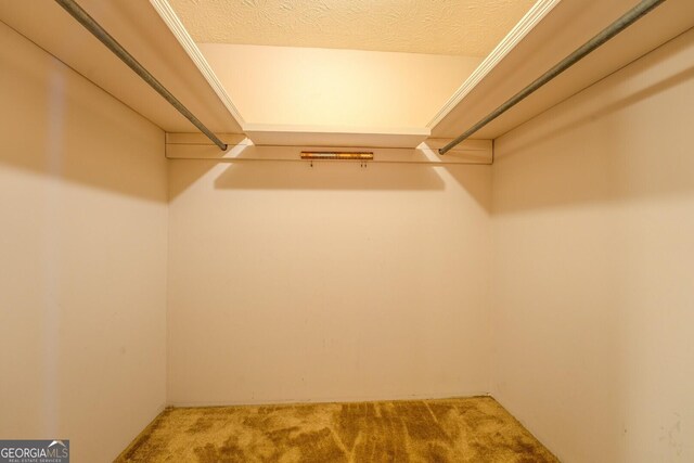 walk in closet with carpet