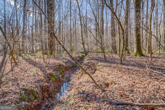 view of local wilderness