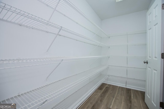 walk in closet featuring dark hardwood / wood-style flooring